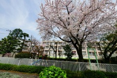 青山保育園