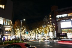 表参道イルミネーション