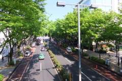 表参道