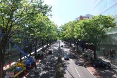 表参道