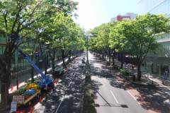 表参道