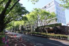 表参道