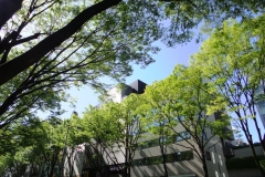 表参道
