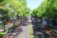 表参道