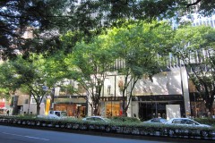 表参道