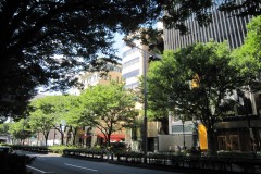 表参道