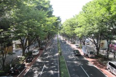 表参道