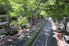 表参道