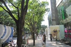 表参道