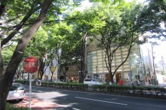 表参道