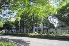 表参道