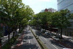表参道