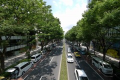 表参道