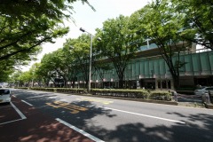 表参道