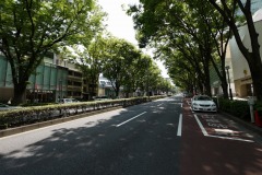 表参道