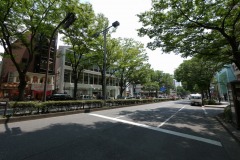 表参道