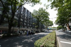 表参道