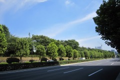 青山通り