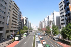 青山通り