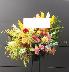 画像出典：http://www.pitz-flower.com