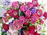画像出典:www.flower-mistral.com