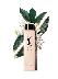 出典：https://www.yslb.jp/skincare/skincare-ranges/skincare-pure-shots/pure-shots-hydra-bounce-lotion/WW-50384YSL.html#start=9&cgid=skincare-toners