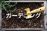 出典：https://hana-ichiba.net/