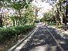 代々木公園のサイクリングコース