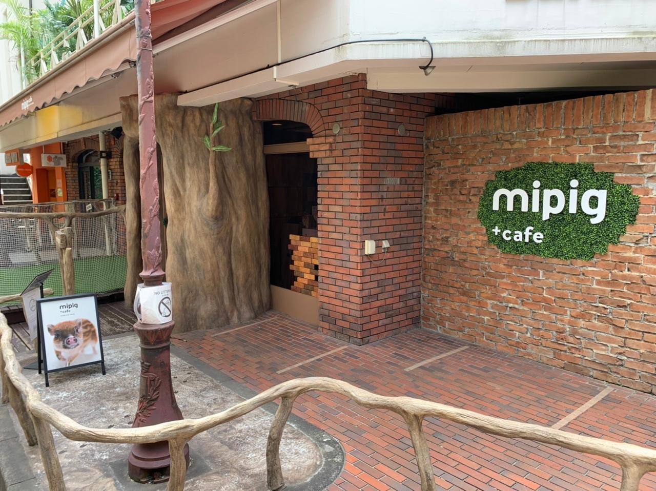 mipig（マイピッグ） + cafe 原宿