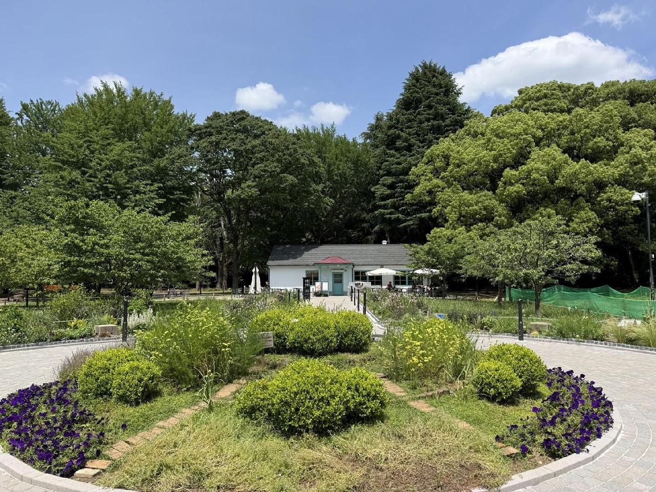ドトール パークカフェ YOYOGI