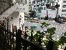 店内からの眺め