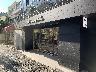 トラヴィスマシュー