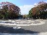 原宿口にある広場。休日はダンスを踊っている人もいます。